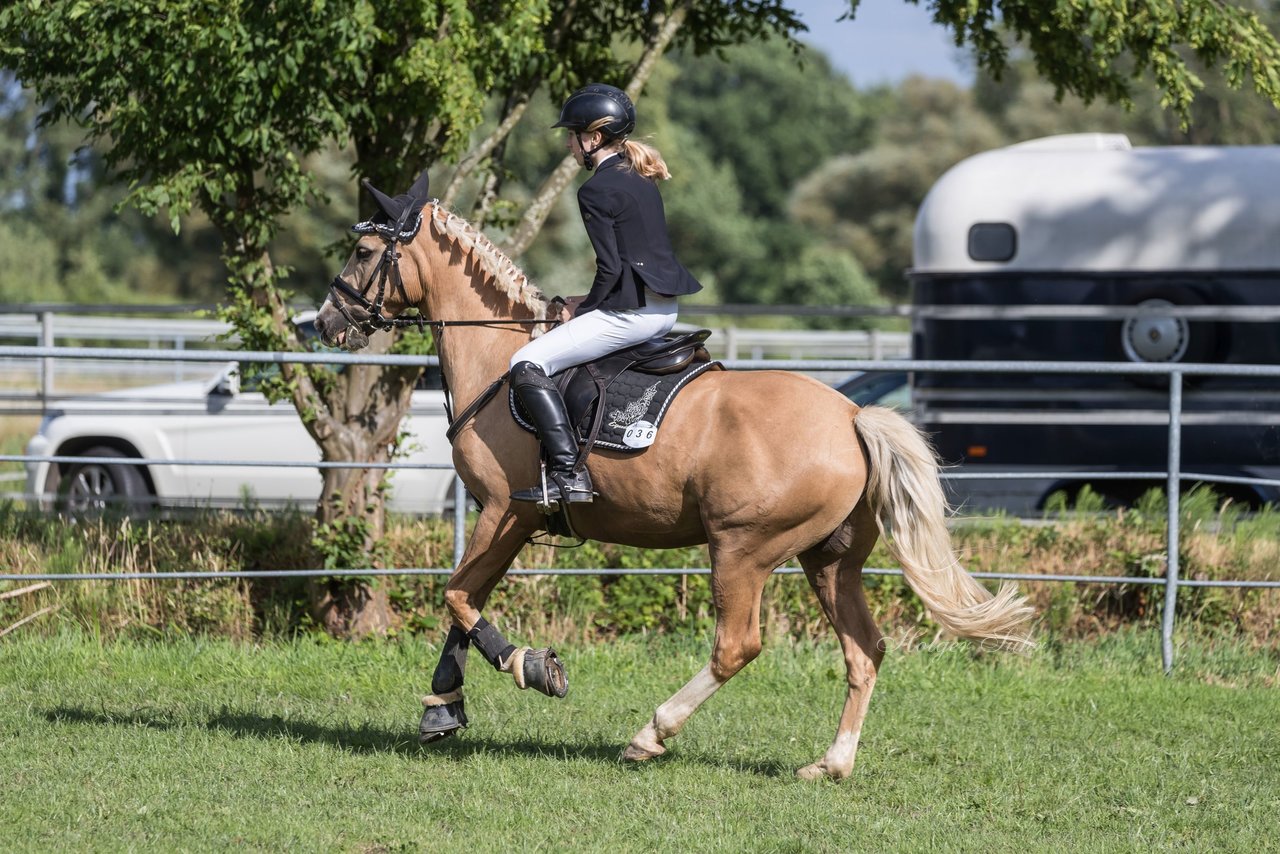 Bild 98 - Pony Akademie Turnier